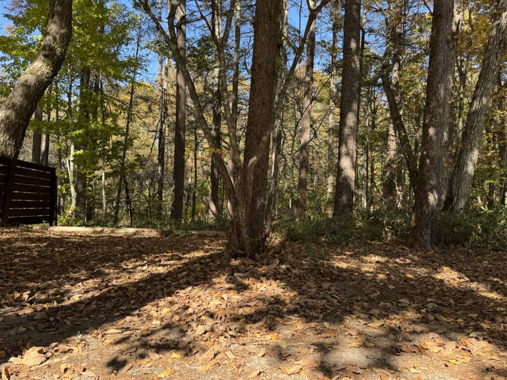 スモールサイトからの景色