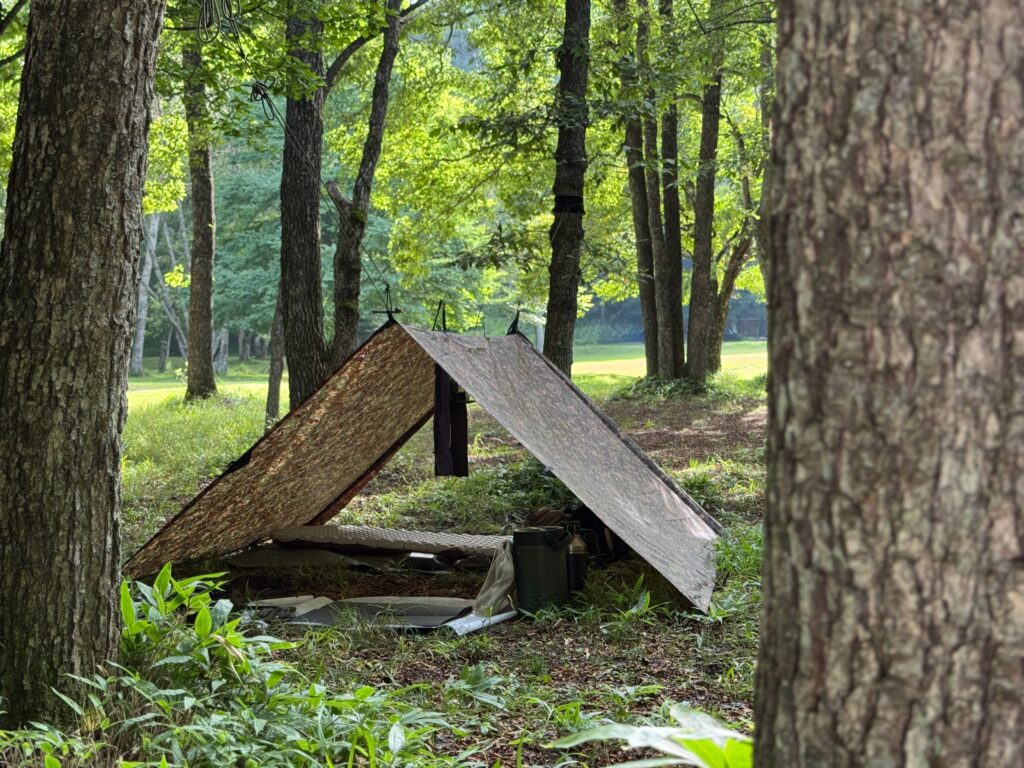 DD Hammocks DDタープ 3x3 MC マルチカム