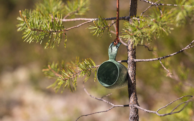木に吊るされたクピルカ21